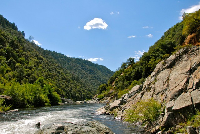 CH1_14501841_HS7_7586