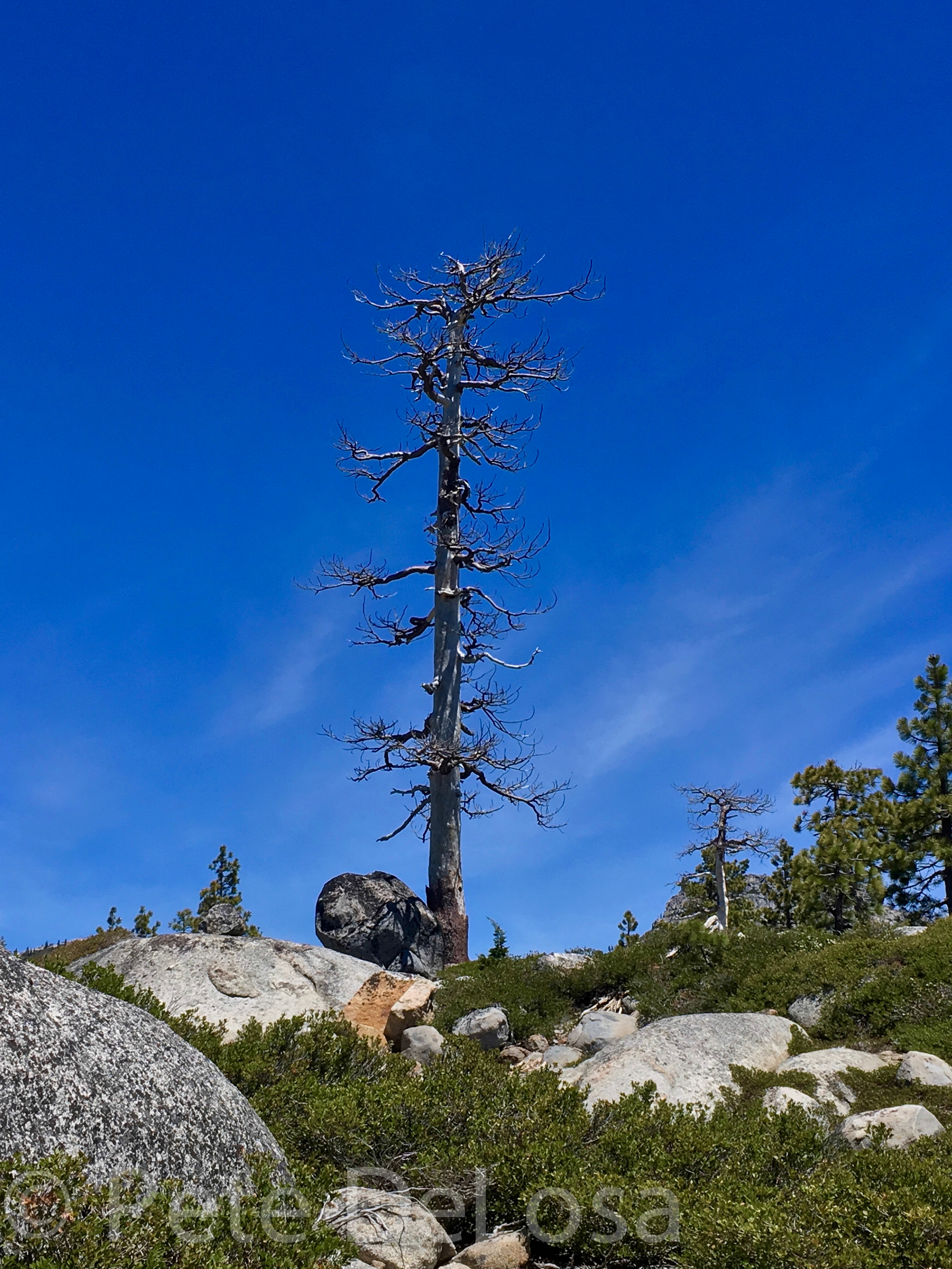 Loon Lake | River-Bum.com